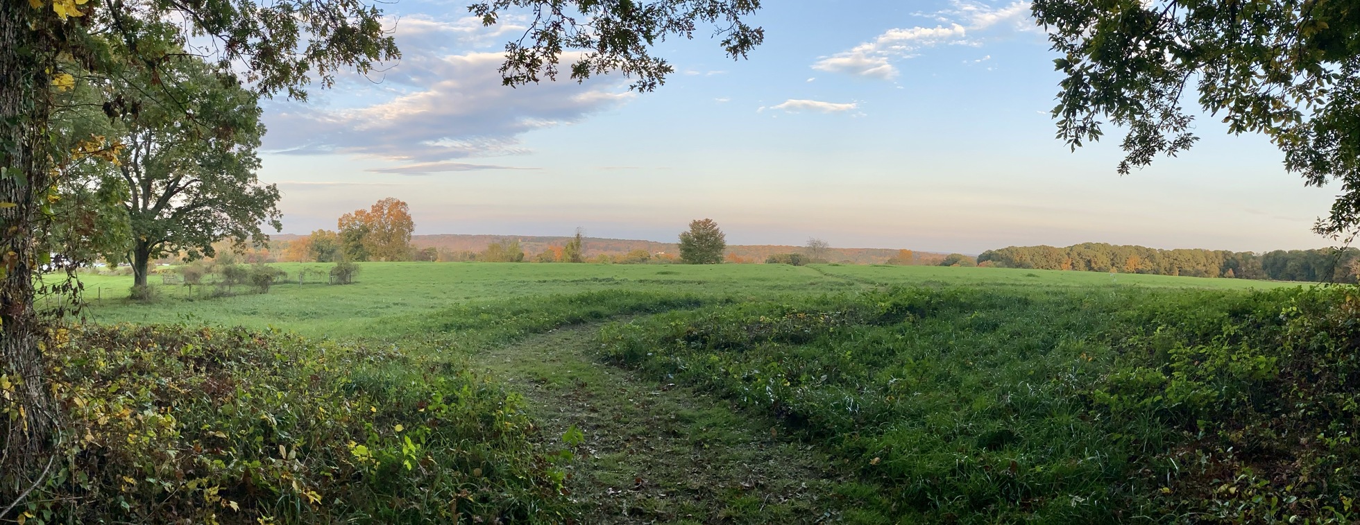 Fall Saunters: Johnson Farm
